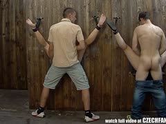 Am Glory Hole ficken sie die Schlampen